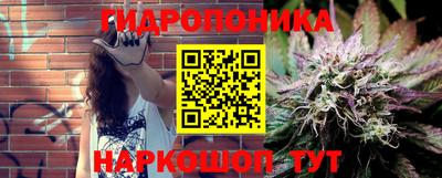 спиды Будённовск